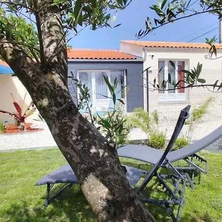 Entre Ailes & Iles * Saint-Nazaire-sur-Charente